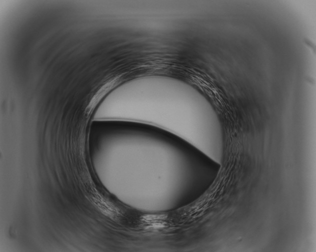 X0000098020051200803280802