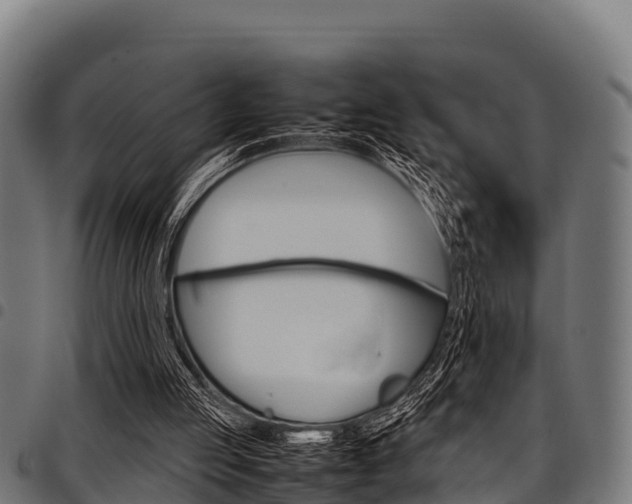 X0000098020053200803280802