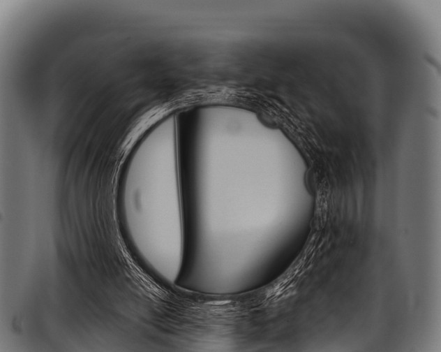 X0000098020054200803280802