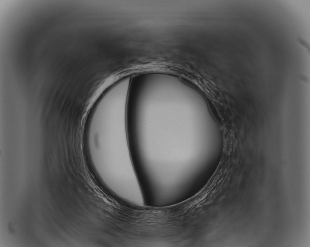 X0000098020056200803280802