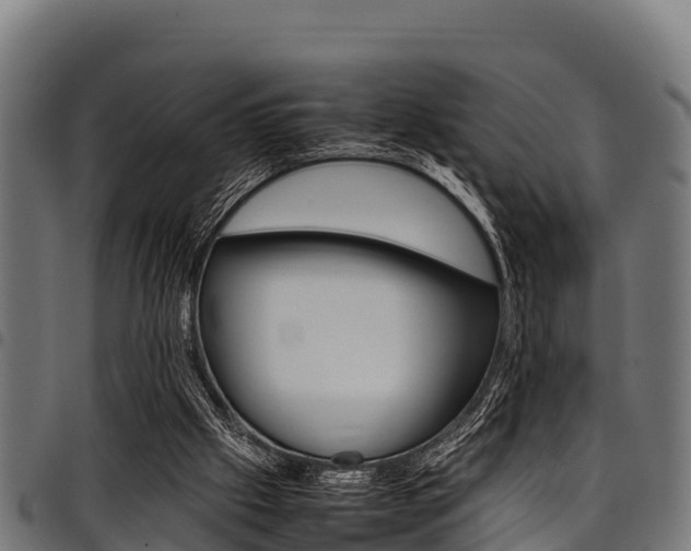 X0000098020057200803280802