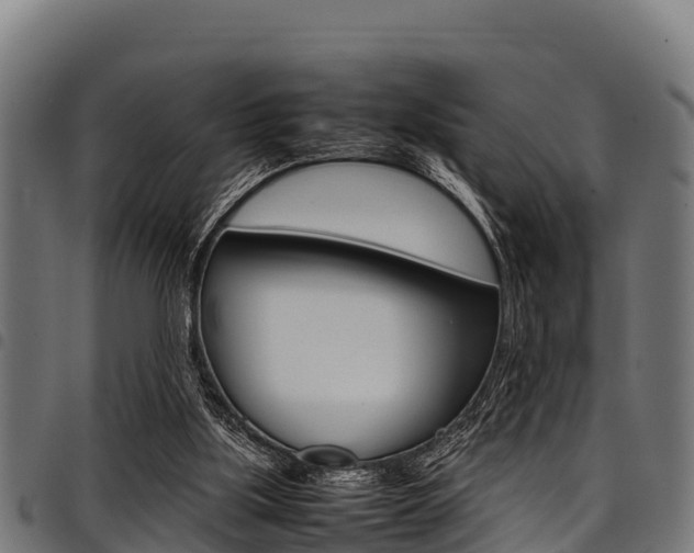 X0000098020059200803280802