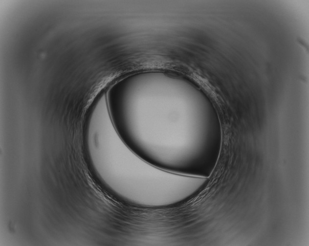 X0000098020060200803280802