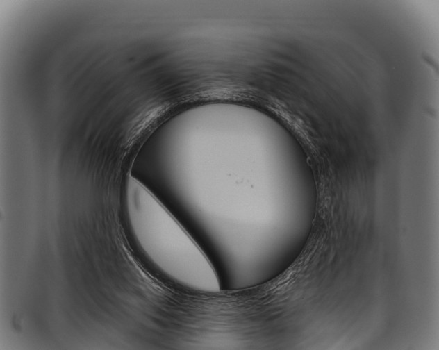 X0000098020062200803280802