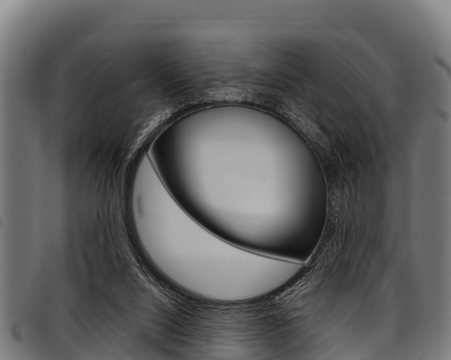 X0000098020064200803280802