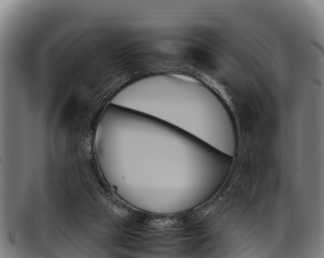 X0000098020065200803280802