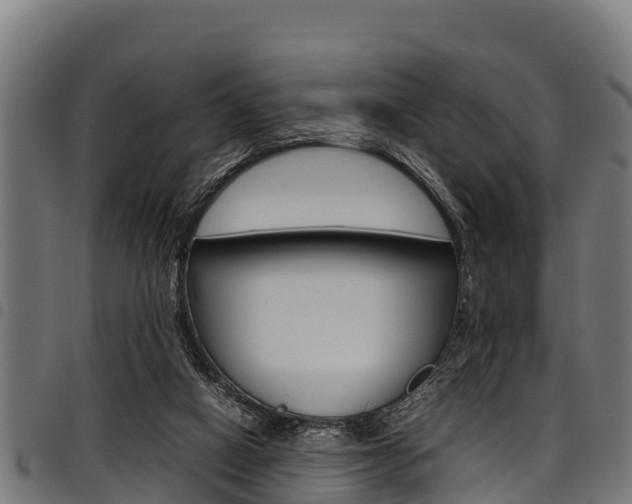 X0000098020066200803280802