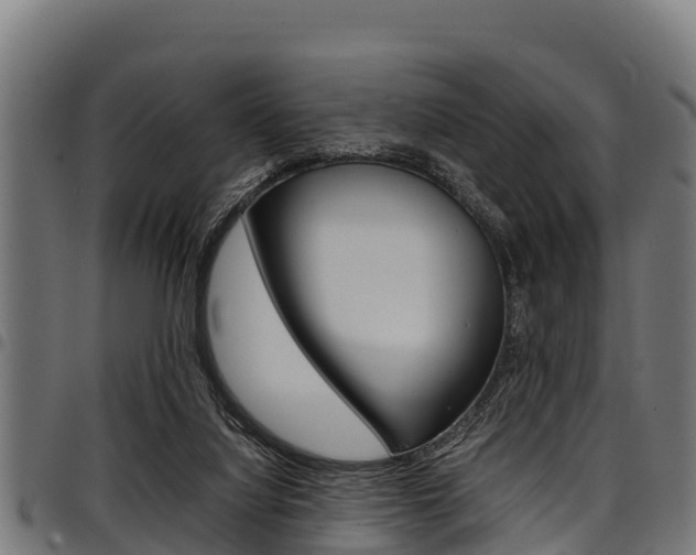 X0000098020068200803280802
