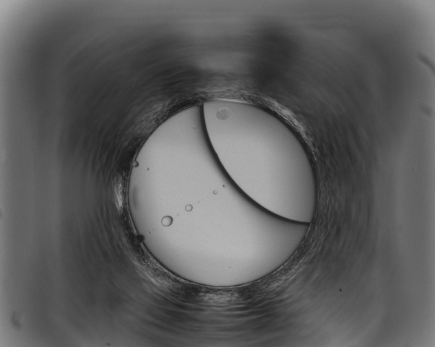 X0000098020069200803280802