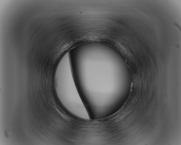 X0000098020072200803280802