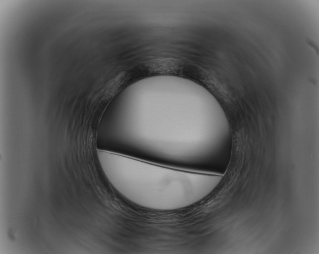 X0000098020073200803280802