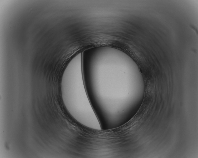 X0000098020076200803280802