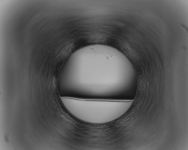 X0000098020077200803280802