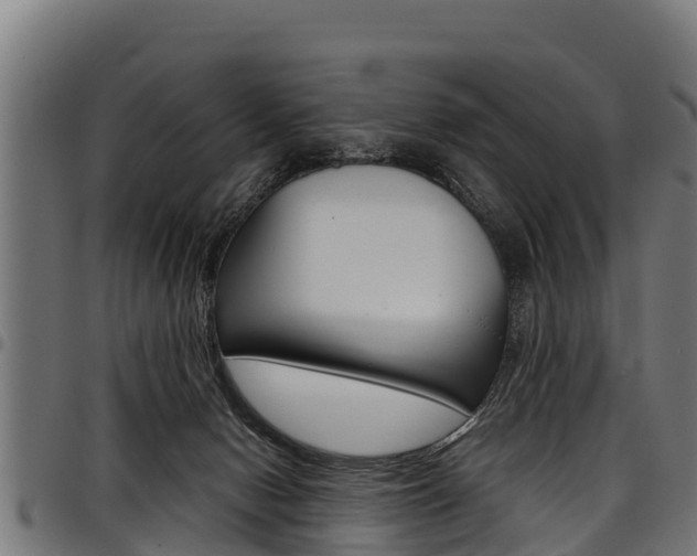 X0000098020078200803280802