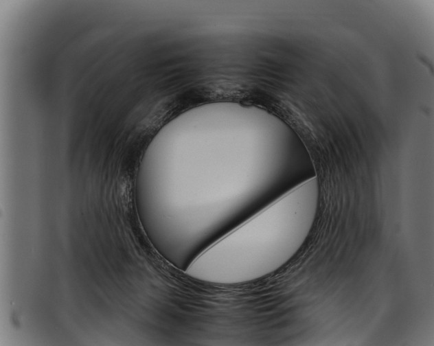 X0000098020079200803280802