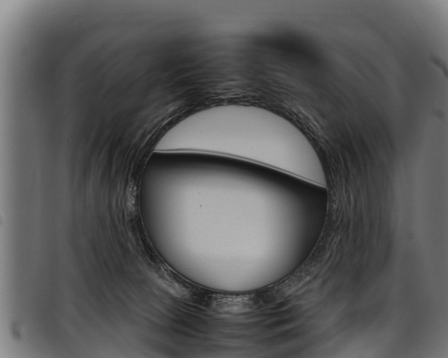 X0000098020081200803280802