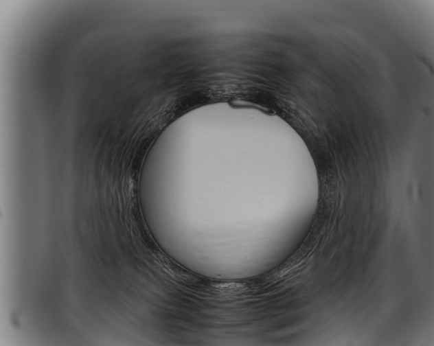 X0000098020087200803280803