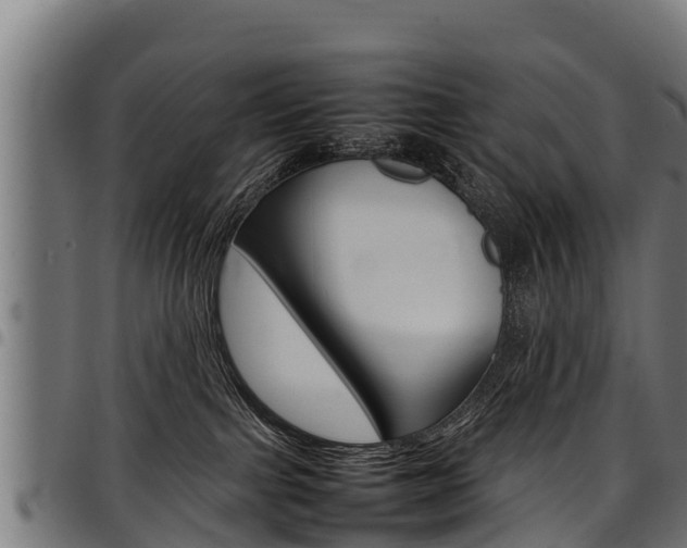 X0000098020091200803280803