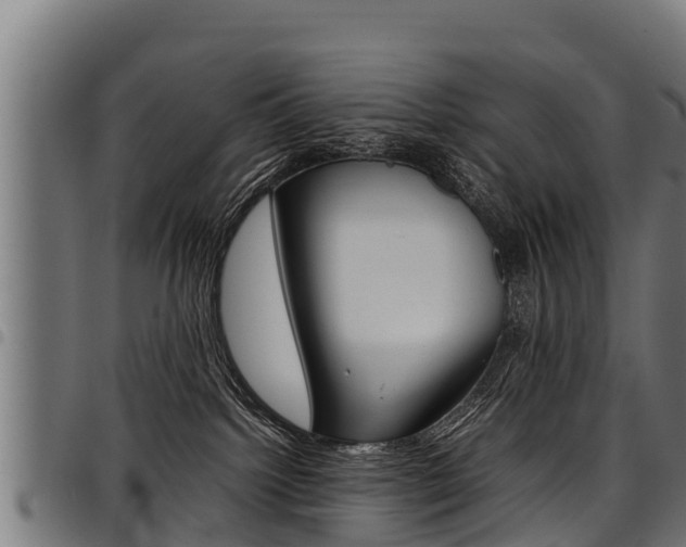 X0000098020092200803280803