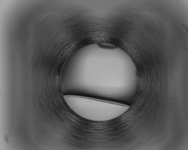X0000098020093200803280803