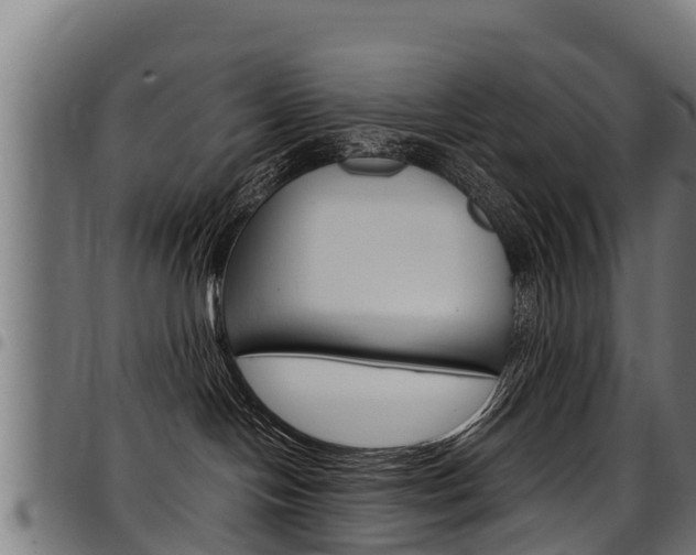 X0000098020094200803280803