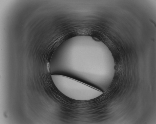 X0000098020095200803280803