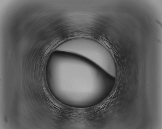 X0000098020097200803280802