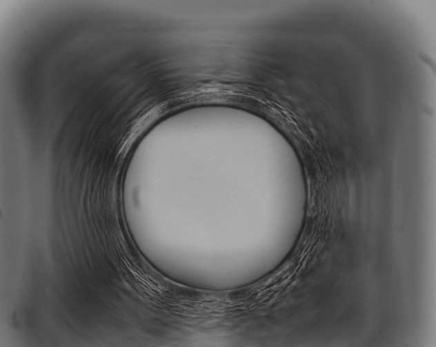 X0000098020099200803280802