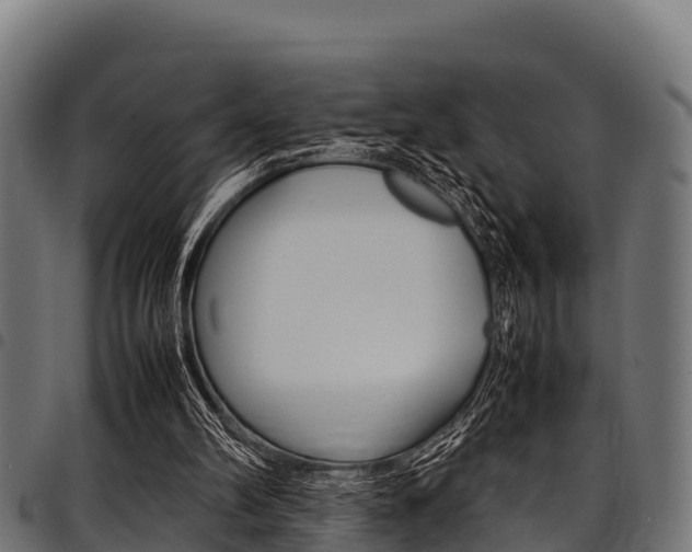 X0000098020102200803280802