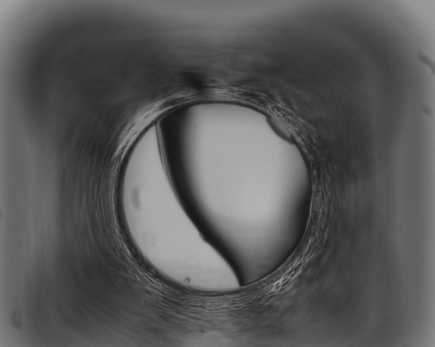X0000098020103200803280802