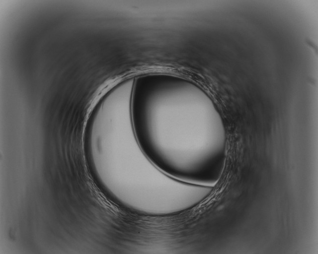 X0000098020104200803280802