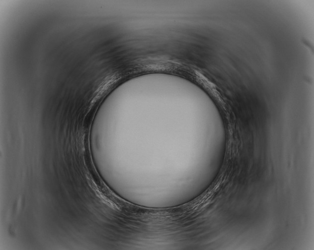 X0000098020106200803280802
