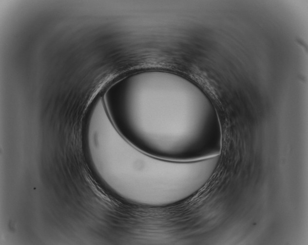 X0000098020108200803280802