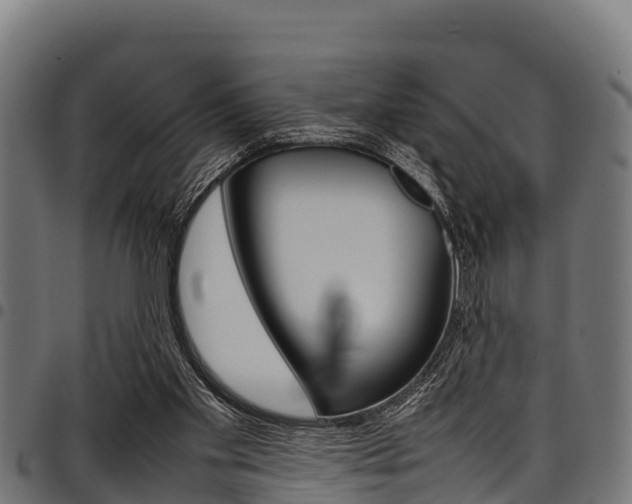 X0000098020109200803280802