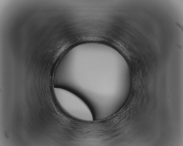 X0000098020111200803280802