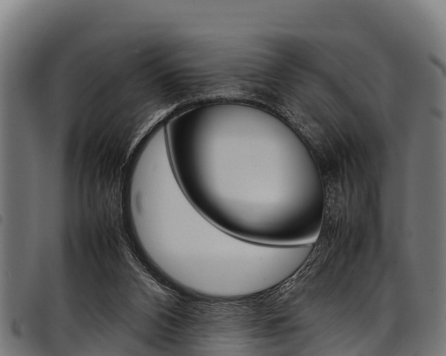 X0000098020112200803280802