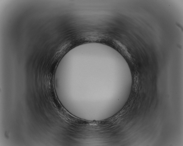 X0000098020114200803280802