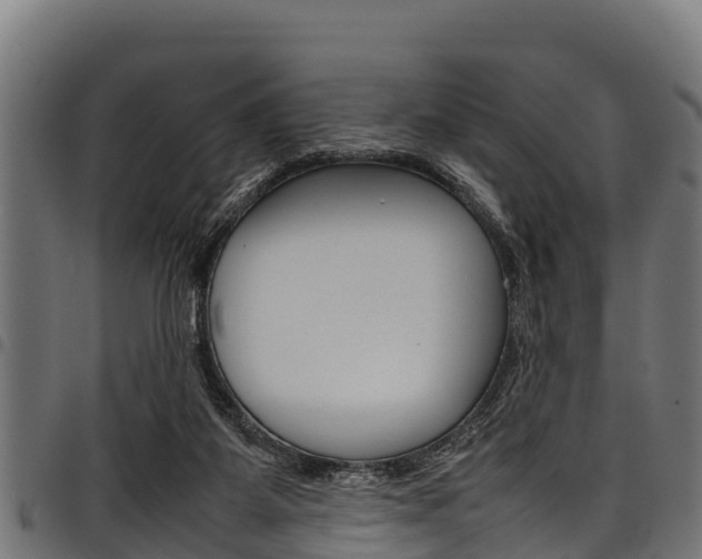 X0000098020115200803280802