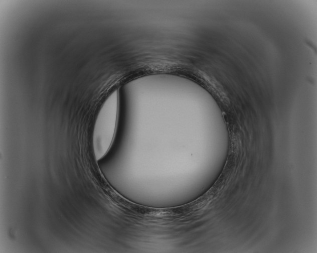 X0000098020117200803280802