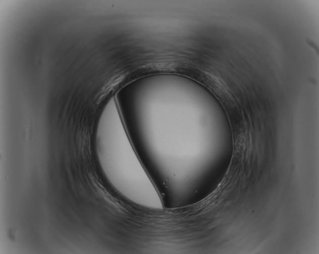 X0000098020120200803280802