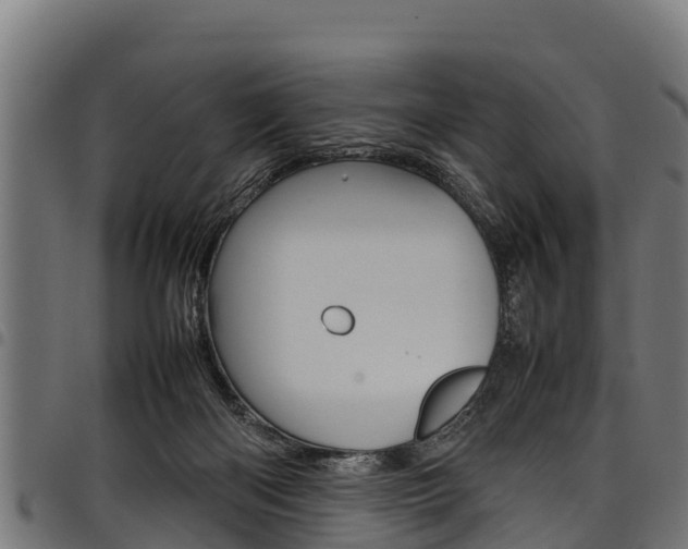 X0000098020122200803280802