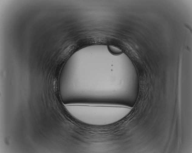 X0000098020123200803280802