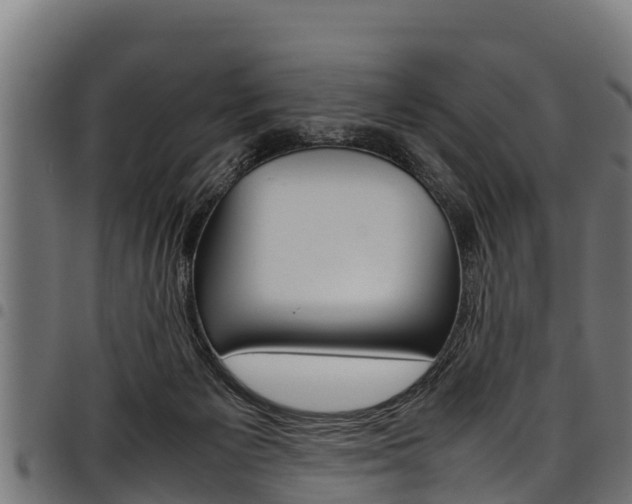 X0000098020125200803280802