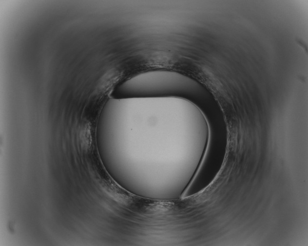 X0000098020128200803280802