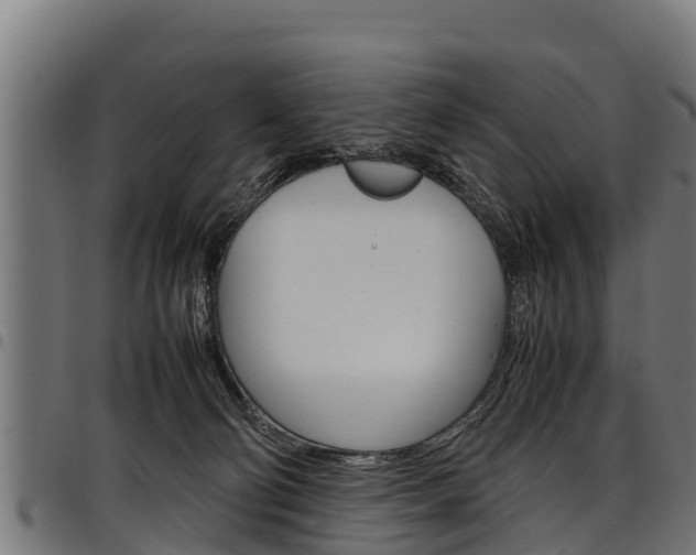 X0000098020130200803280802