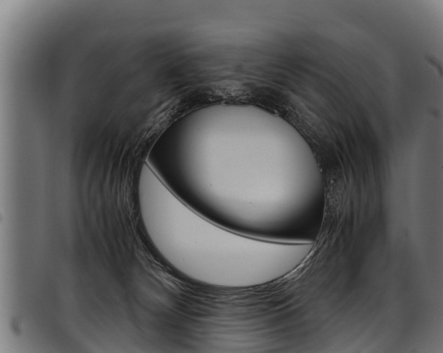 X0000098020132200803280802