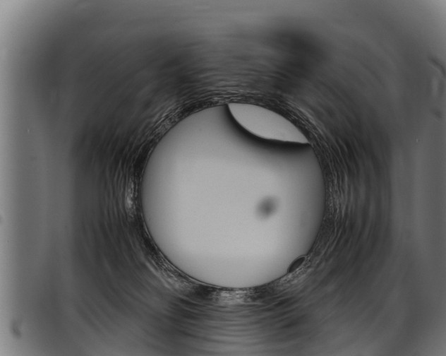X0000098020134200803280801