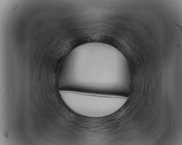 X0000098020135200803280801