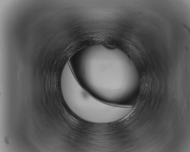 X0000098020136200803280801
