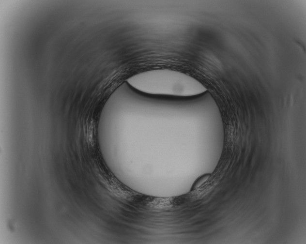 X0000098020138200803280801